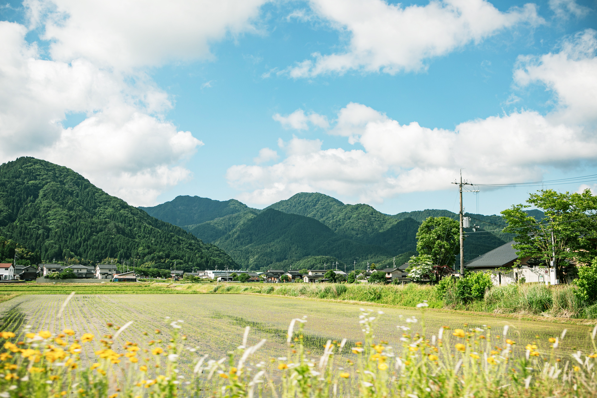 日高町