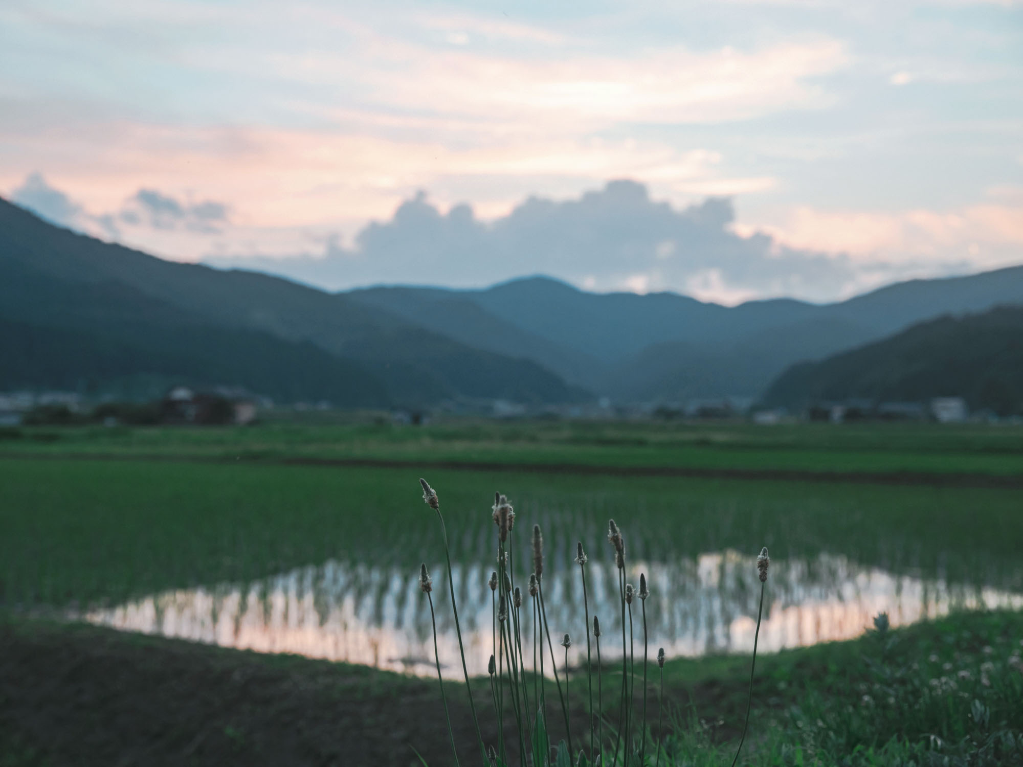 豊岡の風景