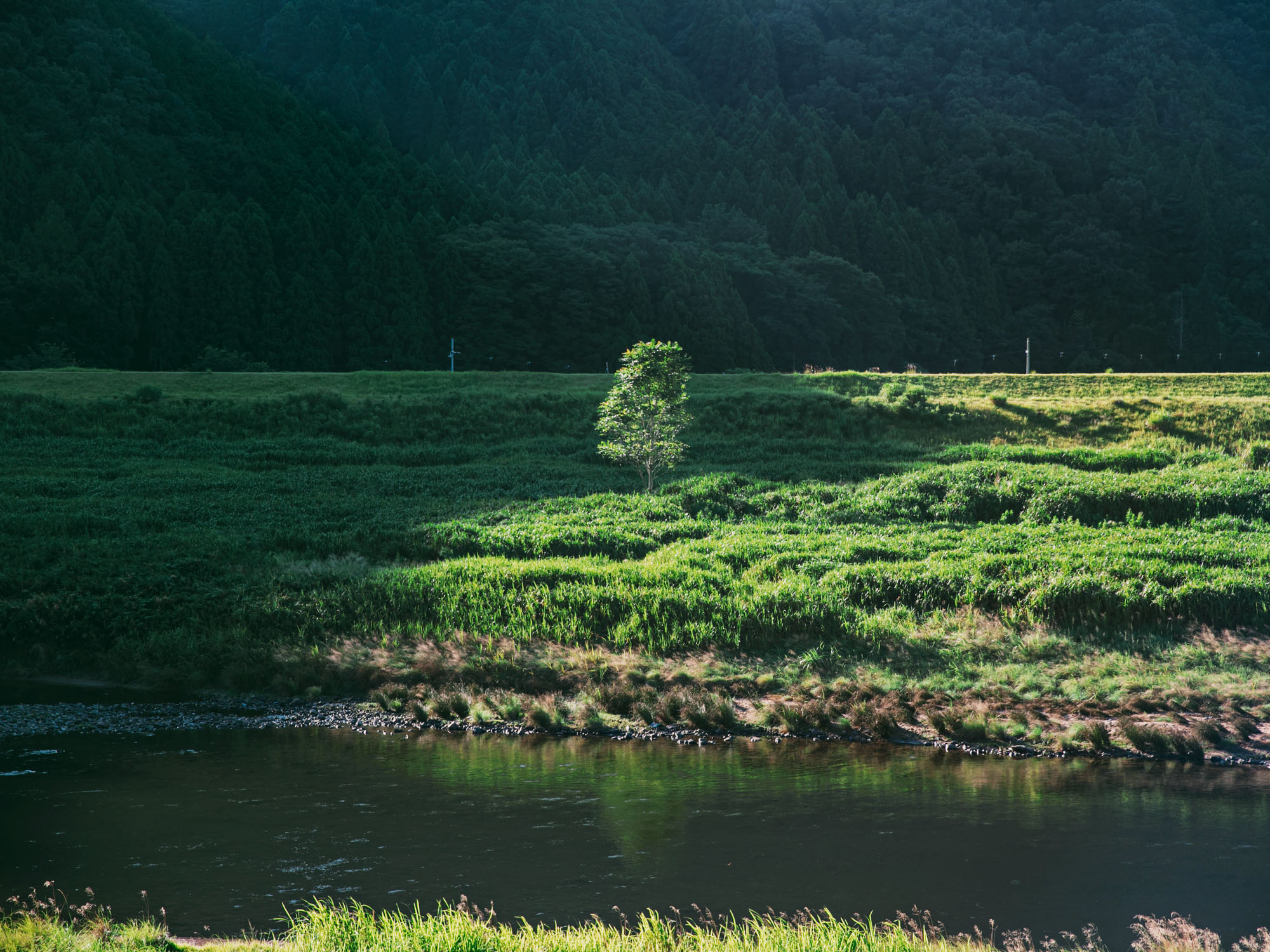 豊岡の風景
