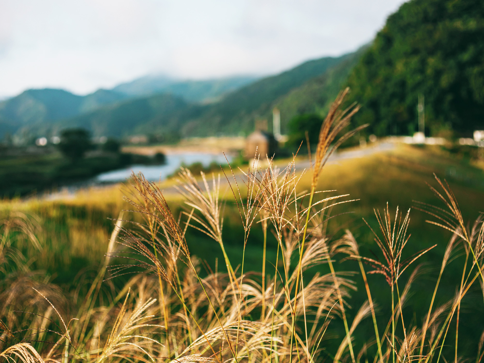 豊岡の風景