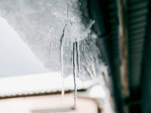 豊岡の雪