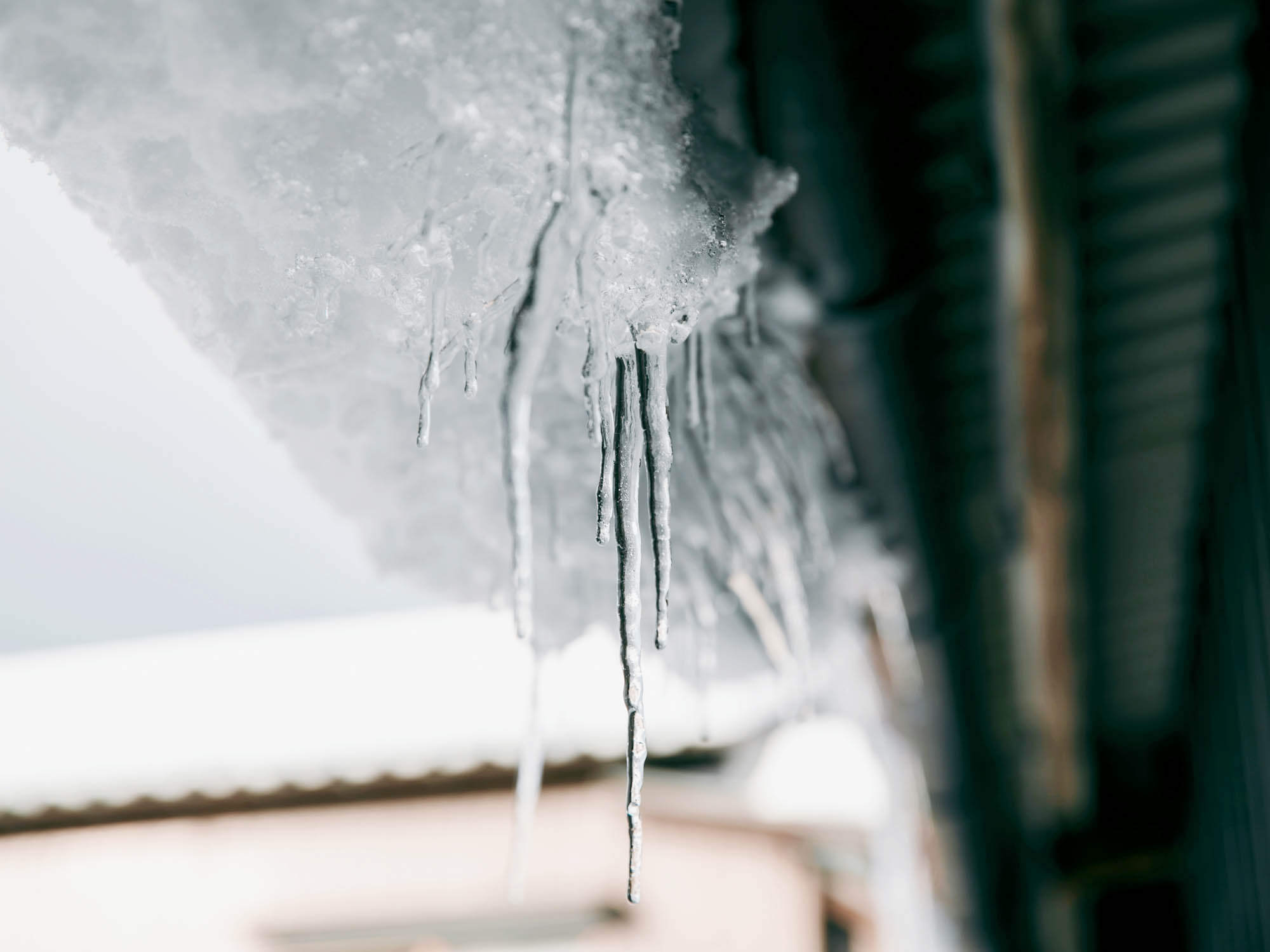 豊岡の雪