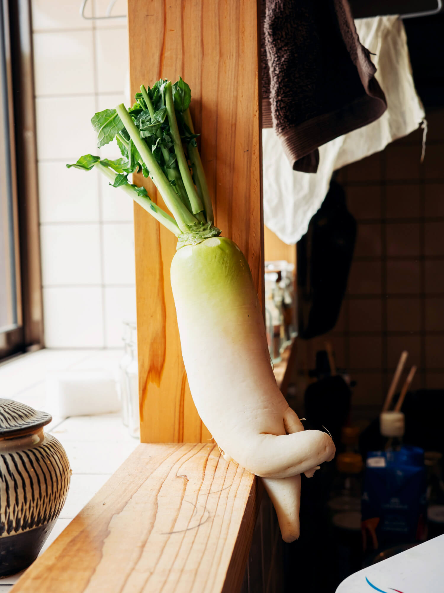 愛らし野菜たち