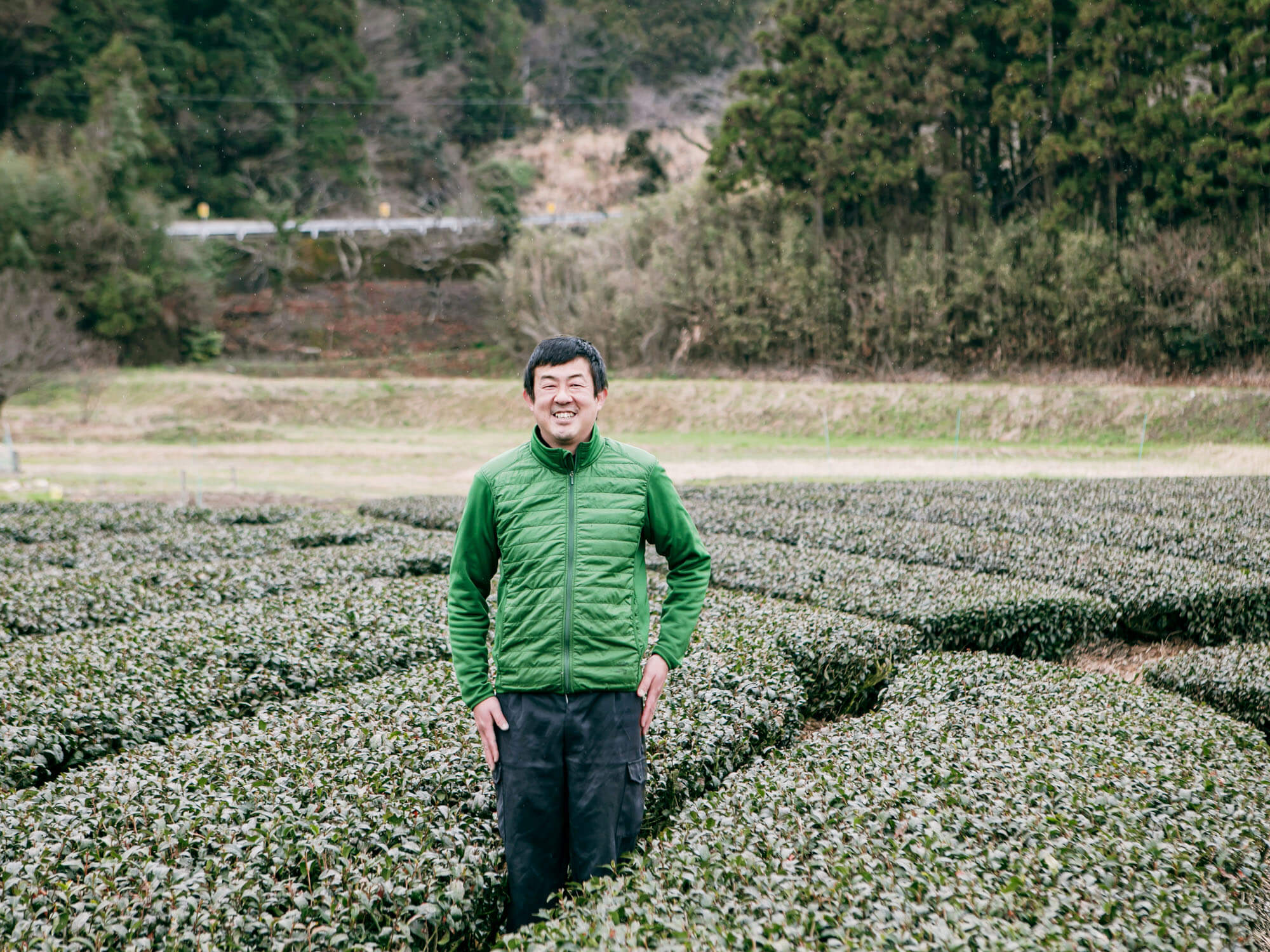 ヤマニ製茶