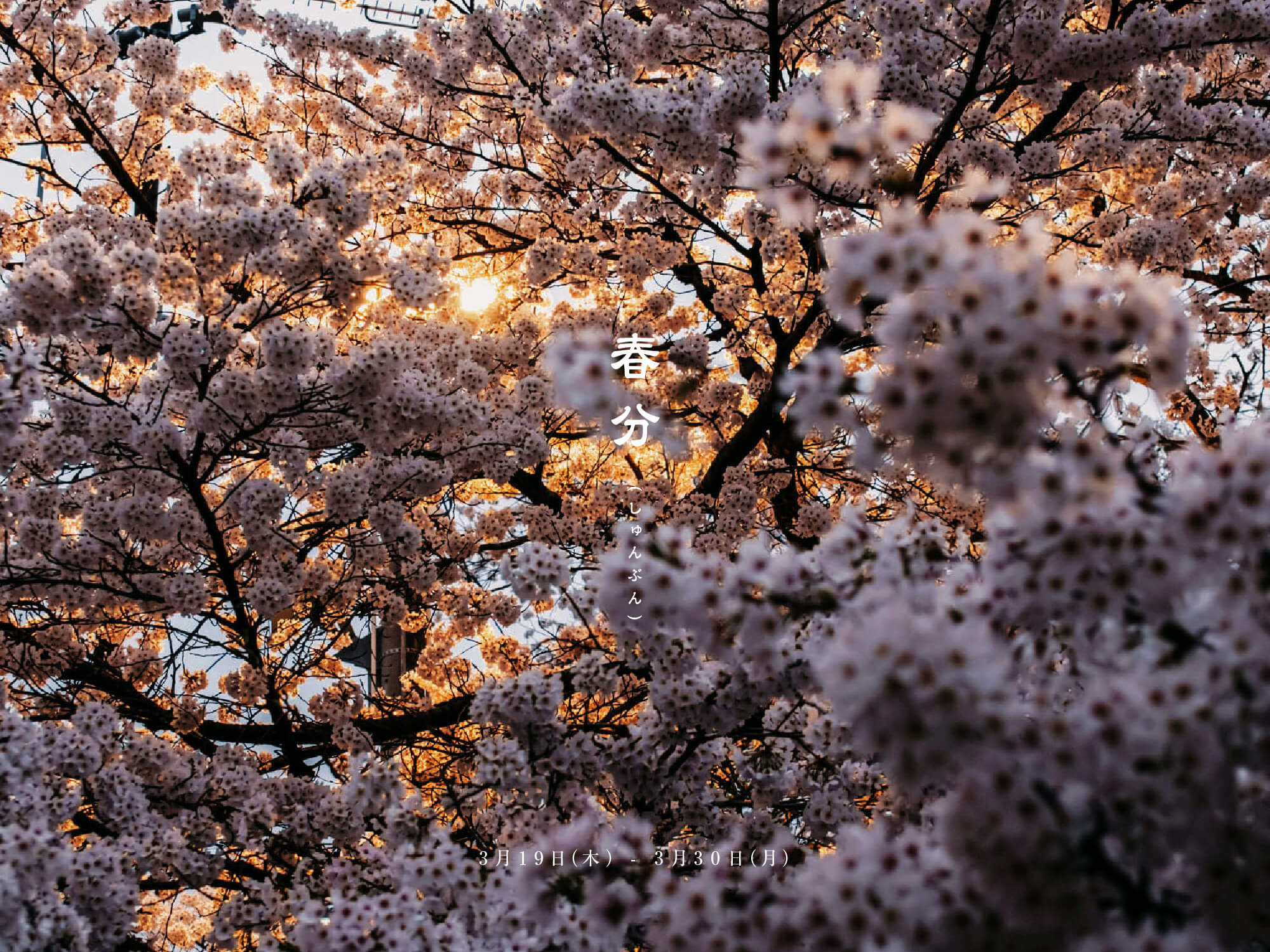 春分